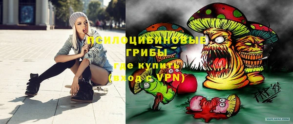 бошки Алексин