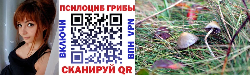 Псилоцибиновые грибы прущие грибы  Уварово 